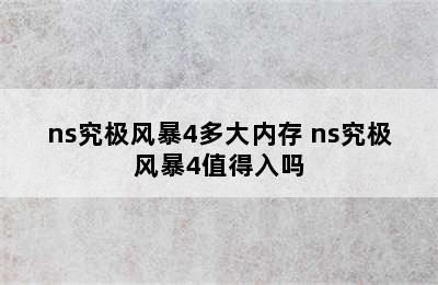 ns究极风暴4多大内存 ns究极风暴4值得入吗